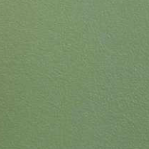 Lichen Y4326i