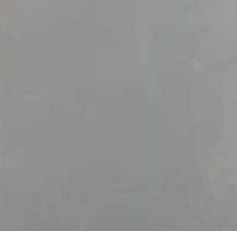 Light Grey S5502 Y
