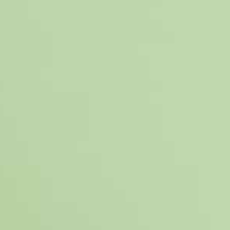 Pale Matcha S2020 G10y